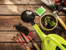 Garden tools and a seedling in a small pot.