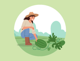 An illustration of a woman checking on watermelons in a garden.