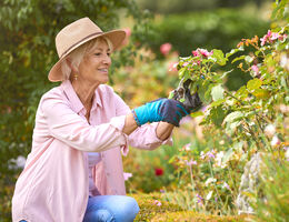 An older woman prunes her garden.